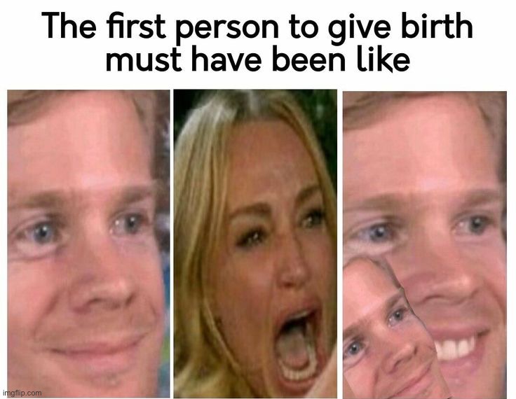 image tagged in memes | made w/ Imgflip meme maker