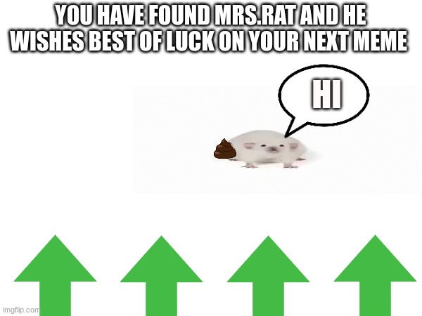 This may not get many upvotes, but good luck on your next meme | YOU HAVE FOUND MRS.RAT AND HE WISHES BEST OF LUCK ON YOUR NEXT MEME; HI | image tagged in good luck | made w/ Imgflip meme maker