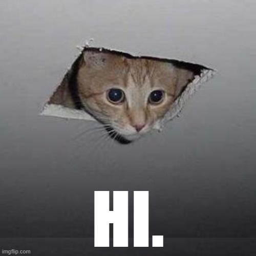 Ceiling Cat | HI. | image tagged in memes,ceiling cat | made w/ Imgflip meme maker