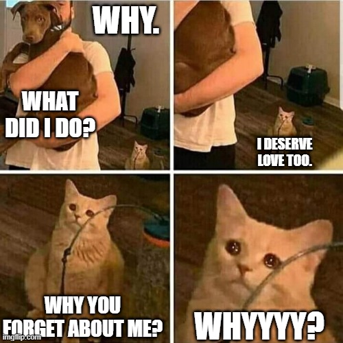 Sad Cat Holding Dog | WHY. WHAT DID I DO? I DESERVE LOVE TOO. WHY YOU FORGET ABOUT ME? WHYYYY? | image tagged in sad cat holding dog | made w/ Imgflip meme maker