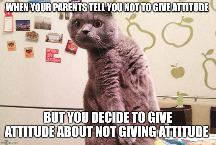 Giving attitude about giving attitude | WHEN YOUR PARENTS TELL YOU NOT TO GIVE ATTITUDE; BUT YOU DECIDE TO GIVE ATTITUDE ABOUT NOT GIVING ATTITUDE | image tagged in wut did you sayyyyyyy | made w/ Imgflip meme maker