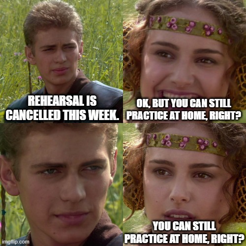 Practice is Cancelled. | REHEARSAL IS CANCELLED THIS WEEK. OK, BUT YOU CAN STILL PRACTICE AT HOME, RIGHT? YOU CAN STILL PRACTICE AT HOME, RIGHT? | image tagged in anakin padme 4 panel,musician,band,rehearsal,practice | made w/ Imgflip meme maker