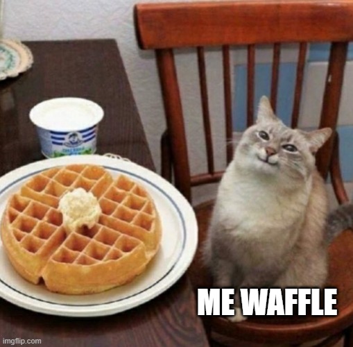 Cat likes their waffle | ME WAFFLE | image tagged in cat likes their waffle | made w/ Imgflip meme maker