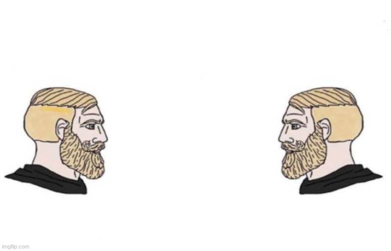 Double Yes Chad | image tagged in double yes chad | made w/ Imgflip meme maker