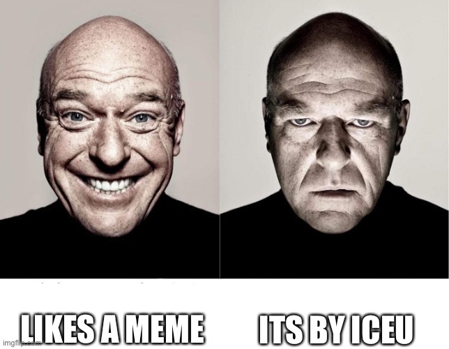 mm | LIKES A MEME; ITS BY ICEU | image tagged in breaking bad smile frown | made w/ Imgflip meme maker