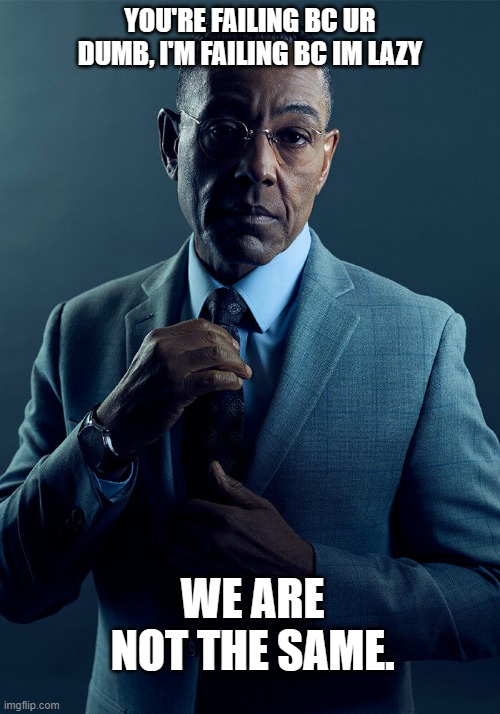 school sucks | YOU'RE FAILING BC UR DUMB, I'M FAILING BC IM LAZY; WE ARE NOT THE SAME. | image tagged in gus fring we are not the same,funny memes,haha,school,school meme | made w/ Imgflip meme maker
