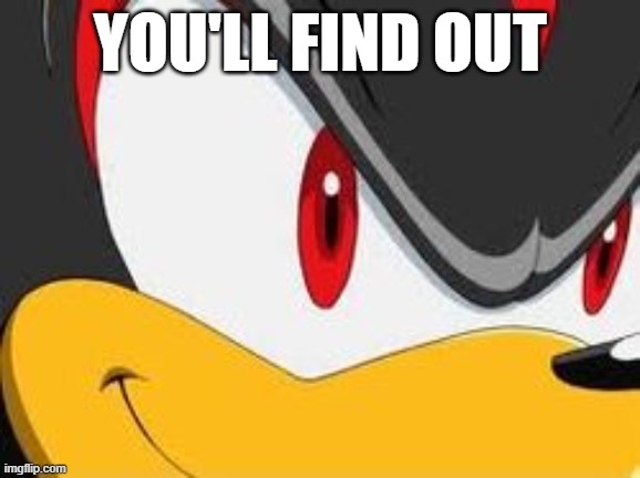 You'll Find Out | YOU'LL FIND OUT | image tagged in sonic x,shadow the hedgehog,you'll find out,smile | made w/ Imgflip meme maker