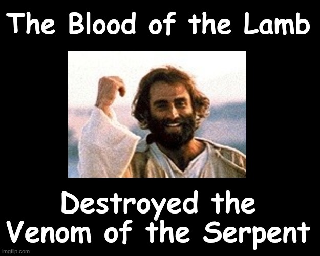 The Blood of the Lamb Destroyed the Venom of the Serpent | The Blood of the Lamb; Destroyed the Venom of the Serpent | image tagged in blood,salvation,jesus christ | made w/ Imgflip meme maker