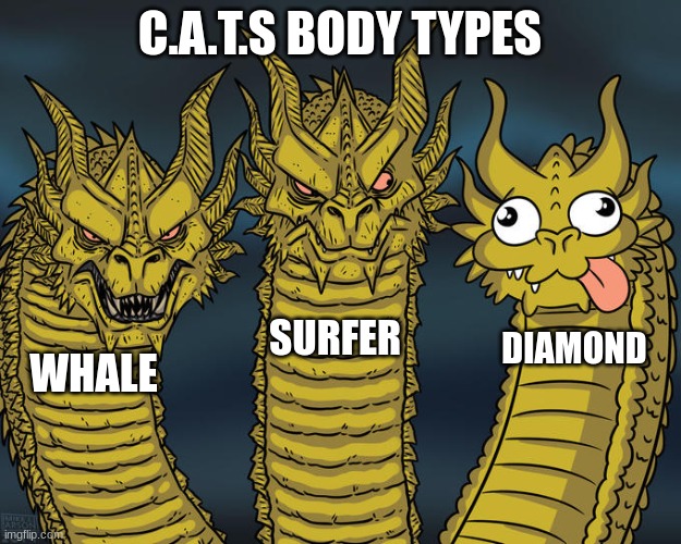 C.A.T.S body types | C.A.T.S BODY TYPES; SURFER; DIAMOND; WHALE | image tagged in three-headed dragon | made w/ Imgflip meme maker