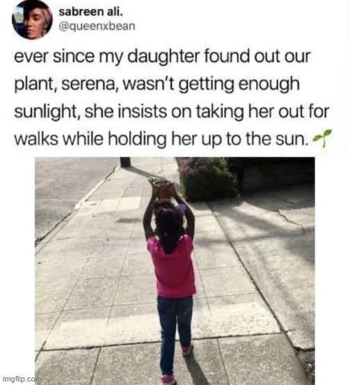 Hopefully Serena gets enough sunlight now :) | image tagged in wholesome,post,memes,funny,wholesome content,media | made w/ Imgflip meme maker