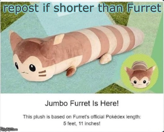 repost if shorter than Furret | made w/ Imgflip meme maker