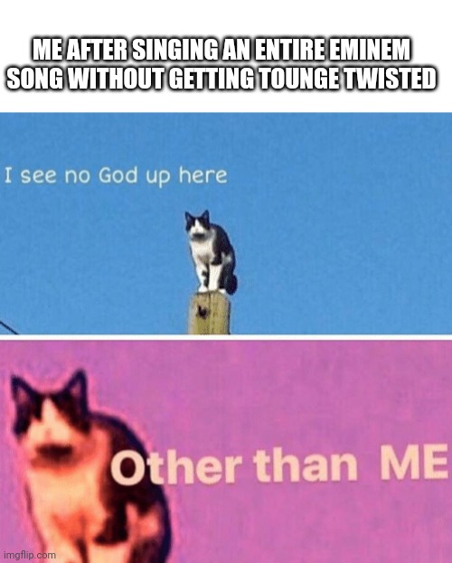 I can do Till I Collapse | ME AFTER SINGING AN ENTIRE EMINEM SONG WITHOUT GETTING TOUNGE TWISTED | image tagged in hail pole cat | made w/ Imgflip meme maker