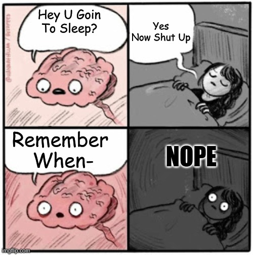 Brain Before Sleep | Yes Now Shut Up; Hey U Goin To Sleep? Remember  When-; NOPE | image tagged in brain before sleep | made w/ Imgflip meme maker