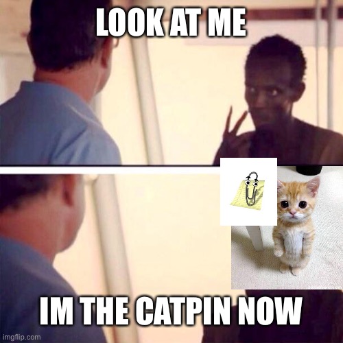 Captain Phillips - I'm The Captain Now | LOOK AT ME; IM THE CATPIN NOW | image tagged in memes,captain phillips - i'm the captain now | made w/ Imgflip meme maker