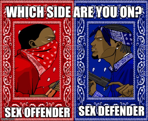 WHICH SIDE ARE YOU ON? | SEX OFFENDER; SEX DEFENDER | image tagged in which side are you on | made w/ Imgflip meme maker