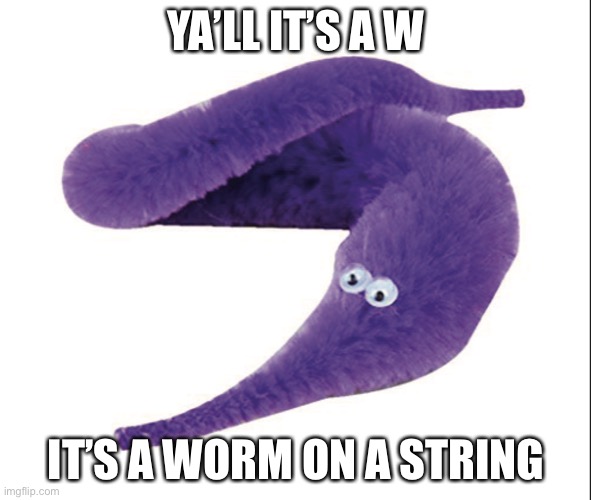 Worm on a string | YA’LL IT’S A W; IT’S A WORM ON A STRING | image tagged in worm on a string | made w/ Imgflip meme maker