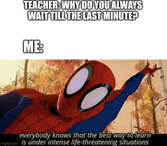 TEACHER: WHY DO YOU ALWAYS WAIT TILL THE LAST MINUTE? ME: | image tagged in blank white template,everybody knows that the best way to learn spiderman | made w/ Imgflip meme maker