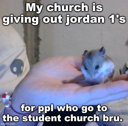 LMFSO | My church is giving out jordan 1's; for ppl who go to the student church bru. | image tagged in hampter | made w/ Imgflip meme maker