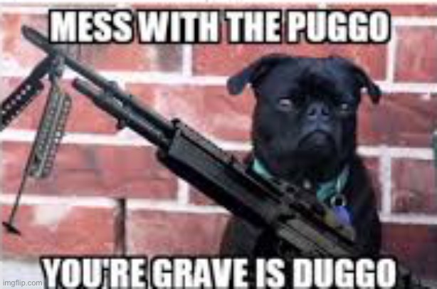 Sorry for the bad quality I used a meme made by my friend on mematic and wanted to share it with you | image tagged in dog week,guard dog,funny | made w/ Imgflip meme maker