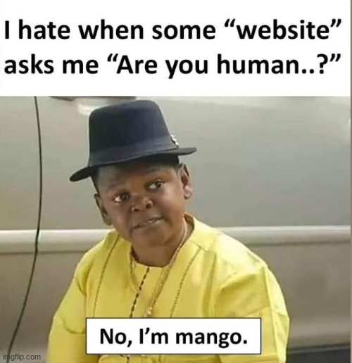 like bro yes i'm human | image tagged in robot,human,funny,memes,mango,stupid | made w/ Imgflip meme maker
