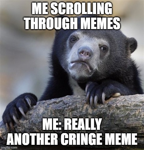 Confession Bear Meme | ME SCROLLING THROUGH MEMES; ME: REALLY ANOTHER CRINGE MEME | image tagged in memes,confession bear | made w/ Imgflip meme maker