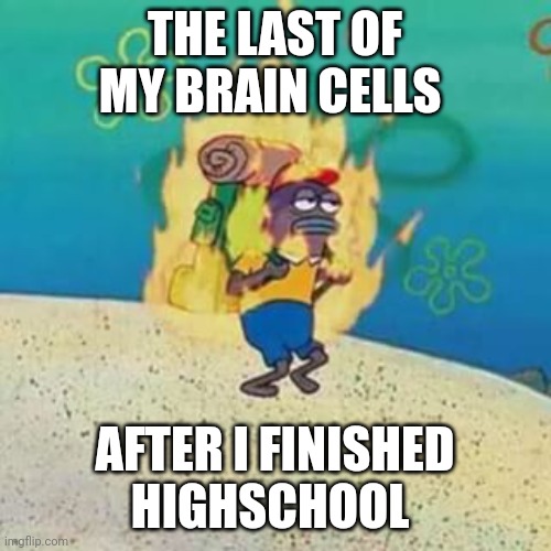 Skool is dumbest thing ever, it destroys yer brain!!!! | THE LAST OF MY BRAIN CELLS; AFTER I FINISHED HIGHSCHOOL | image tagged in spongebob on fire | made w/ Imgflip meme maker