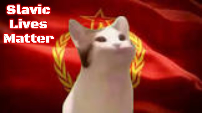 Slavic Lives Matter | image tagged in russia cat,slavic | made w/ Imgflip meme maker