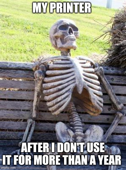 My printer has sadly passed away | MY PRINTER; AFTER I DON'T USE IT FOR MORE THAN A YEAR | image tagged in memes,waiting skeleton,jpfan102504 | made w/ Imgflip meme maker