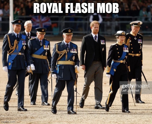 Prince Harry Surrounded by Fake Uniforms | ROYAL FLASH MOB | image tagged in prince harry surrounded by fake uniforms | made w/ Imgflip meme maker