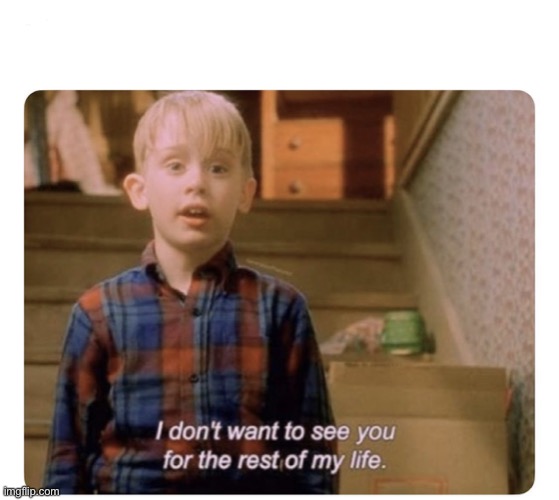 Home alone I don’t want to see you for the rest of my life | image tagged in home alone i don t want to see you for the rest of my life | made w/ Imgflip meme maker
