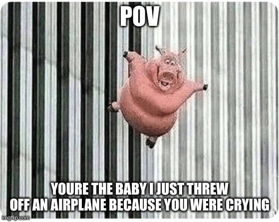 Theyre so annoying | POV; YOURE THE BABY I JUST THREW OFF AN AIRPLANE BECAUSE YOU WERE CRYING | image tagged in pig jumping off | made w/ Imgflip meme maker