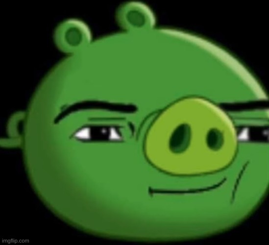 Man Face pig | image tagged in man face pig | made w/ Imgflip meme maker