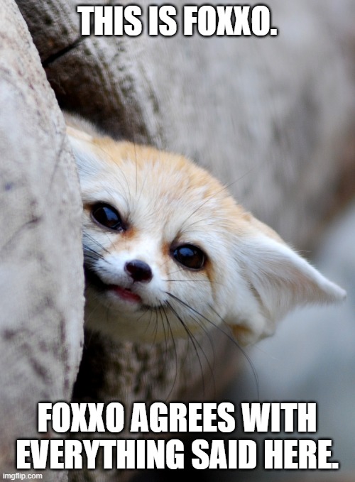 "Hey there..." | THIS IS FOXXO. FOXXO AGREES WITH EVERYTHING SAID HERE. | image tagged in hey there | made w/ Imgflip meme maker