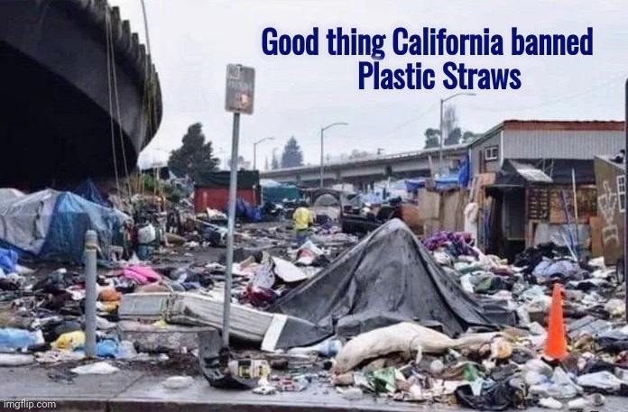 It could always be worse | Good thing California banned    
Plastic Straws | image tagged in stupid liberals,no responsibility,woke,california,shitty,city | made w/ Imgflip meme maker