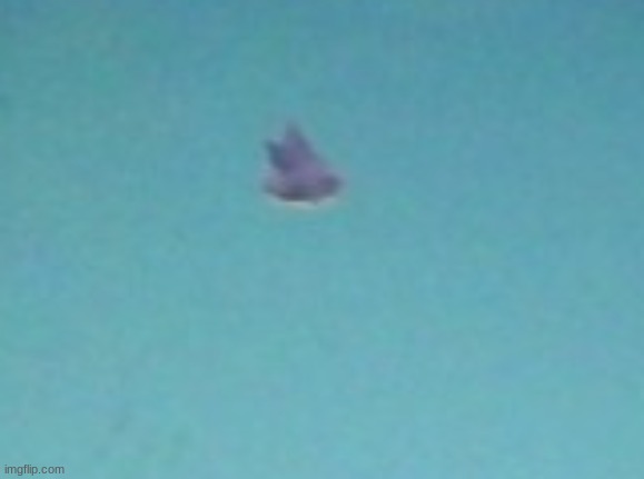 FIRST A DONDOZO AND NOW A BERGMITE | made w/ Imgflip meme maker