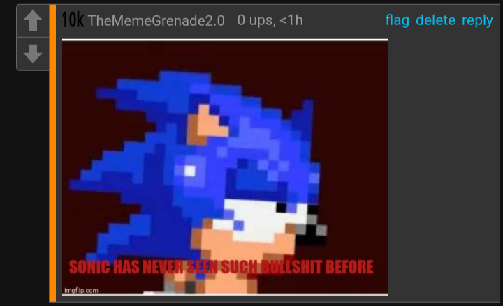 High Quality Sonic never seen bullshit Blank Meme Template