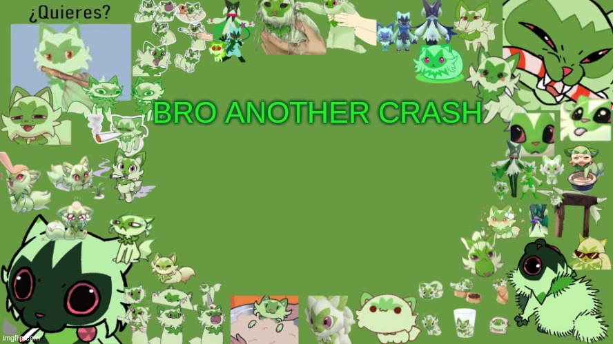 drm's weed cat temp | BRO ANOTHER CRASH | image tagged in drm's weed cat temp | made w/ Imgflip meme maker