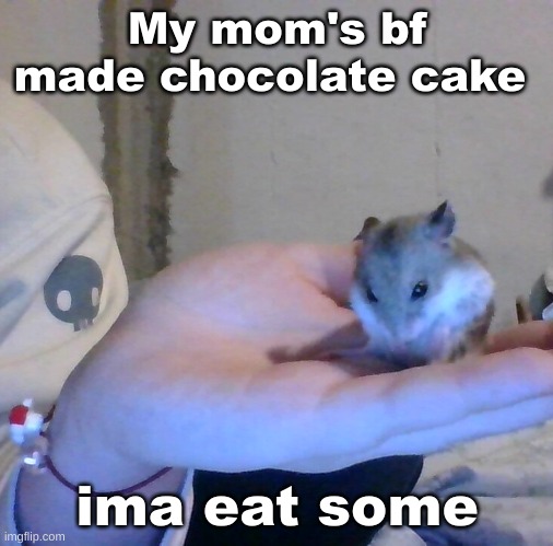 Hampter | My mom's bf made chocolate cake; ima eat some | image tagged in hampter | made w/ Imgflip meme maker