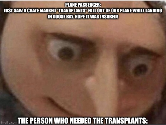 What gru | PLANE PASSENGER:
JUST SAW A CRATE MARKED "TRANSPLANTS" FALL OUT OF OUR PLANE WHILE LANDING
IN GOOSE BAY. HOPE IT WAS INSURED! THE PERSON WHO NEEDED THE TRANSPLANTS: | image tagged in what gru | made w/ Imgflip meme maker