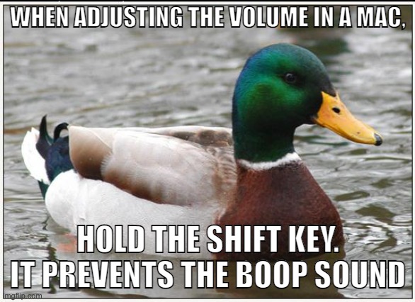 Try it :) | WHEN ADJUSTING THE VOLUME IN A MAC, HOLD THE SHIFT KEY. IT PREVENTS THE BOOP SOUND | image tagged in memes,actual advice mallard | made w/ Imgflip meme maker