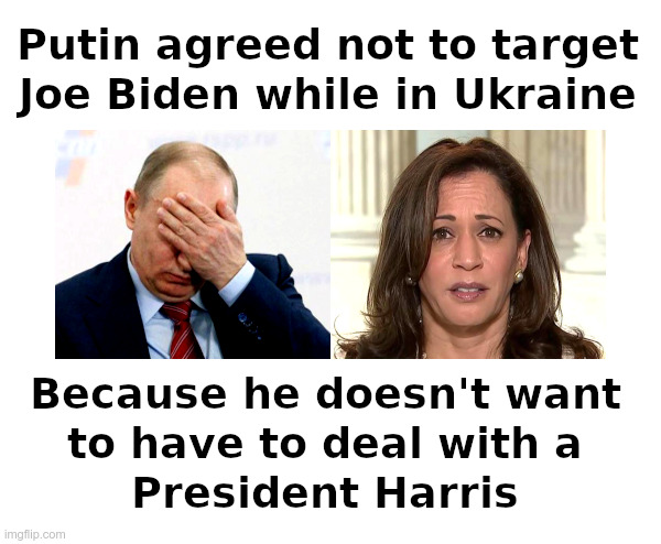 Putin Agreed Not To Target Joe Biden While in Ukraine | image tagged in putin,ukraine,joe biden,kamala harris,dumb and dumber | made w/ Imgflip meme maker