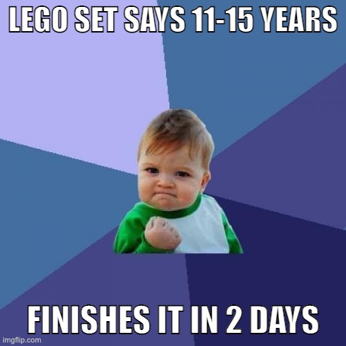 WORLD RECORD!!!!!!!! | LEGO SET SAYS 11-15 YEARS; FINISHES IT IN 2 DAYS | image tagged in memes,success kid | made w/ Imgflip meme maker