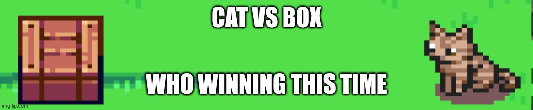 CAT VS BOX; WHO WINNING THIS TIME | made w/ Imgflip meme maker