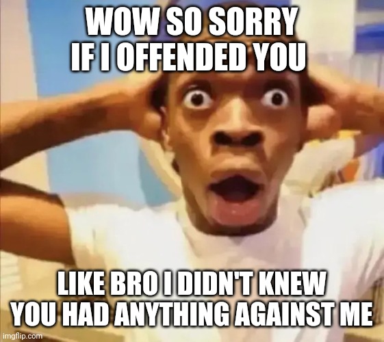 Live reaction | WOW SO SORRY IF I OFFENDED YOU LIKE BRO I DIDN'T KNEW YOU HAD ANYTHING AGAINST ME | image tagged in live reaction | made w/ Imgflip meme maker