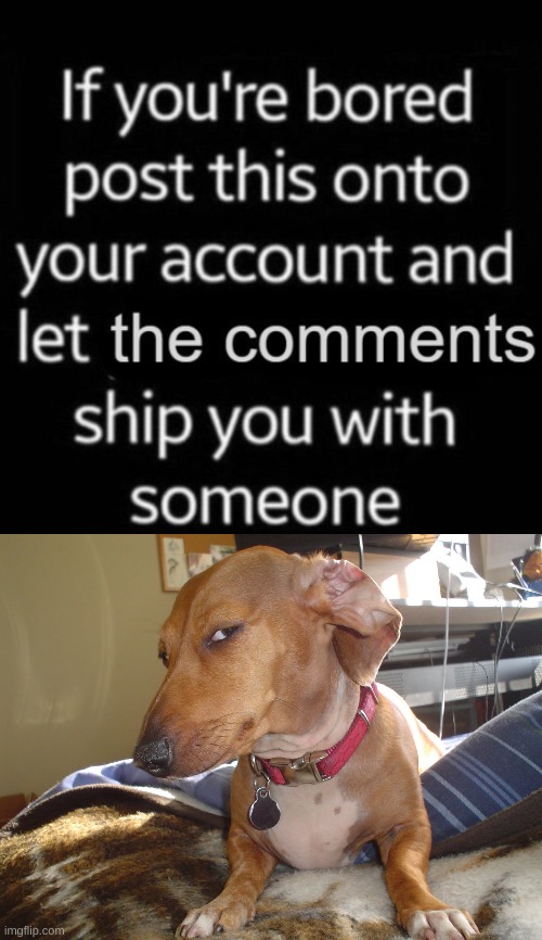 image tagged in suspicious dog | made w/ Imgflip meme maker