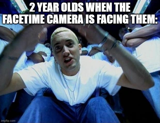 2 year olds | 2 YEAR OLDS WHEN THE FACETIME CAMERA IS FACING THEM: | image tagged in real slim shady,2 year olds | made w/ Imgflip meme maker