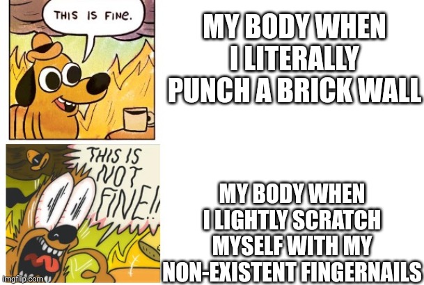 This is Fine, This is Not Fine | MY BODY WHEN I LITERALLY PUNCH A BRICK WALL; MY BODY WHEN I LIGHTLY SCRATCH MYSELF WITH MY NON-EXISTENT FINGERNAILS | image tagged in this is fine this is not fine | made w/ Imgflip meme maker
