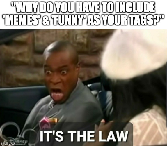 it is | "WHY DO YOU HAVE TO INCLUDE 'MEMES' & 'FUNNY' AS YOUR TAGS?" | image tagged in it's the law,memes,funny,imgflip,tags | made w/ Imgflip meme maker