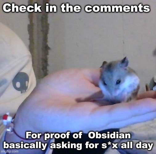 ._. | Check in the comments; For proof of  Obsidian basically asking for s*x all day | image tagged in hampter | made w/ Imgflip meme maker