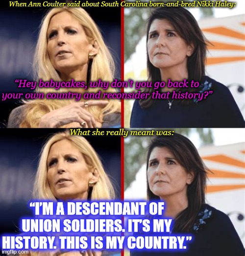 Ann Coulter: Patriot? Or Racist? | When Ann Coulter said about South Carolina born-and-bred Nikki Haley:; “Hey babycakes, why don’t you go back to your own country and reconsider that history?”; What she really meant was:; “I’M A DESCENDANT OF UNION SOLDIERS. IT’S MY HISTORY. THIS IS MY COUNTRY.” | image tagged in memes,politics,racism,south carolina | made w/ Imgflip meme maker